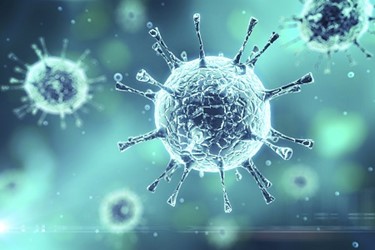 Virus Cell Virus Cell
